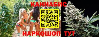 PSILOCYBIN Кулебаки