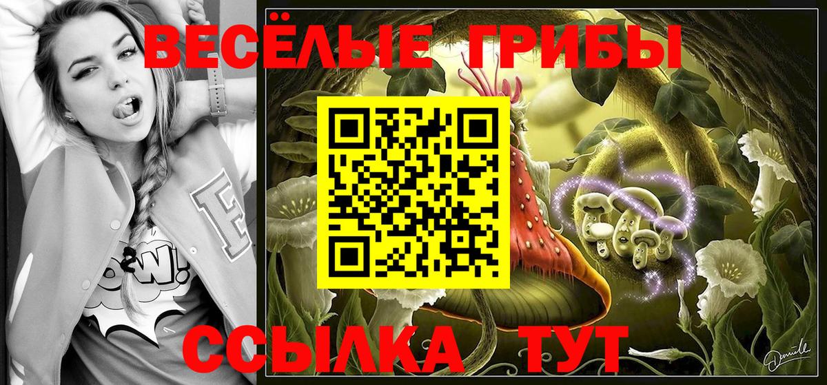 Псилоцибиновые грибы Magic Shrooms Калуга